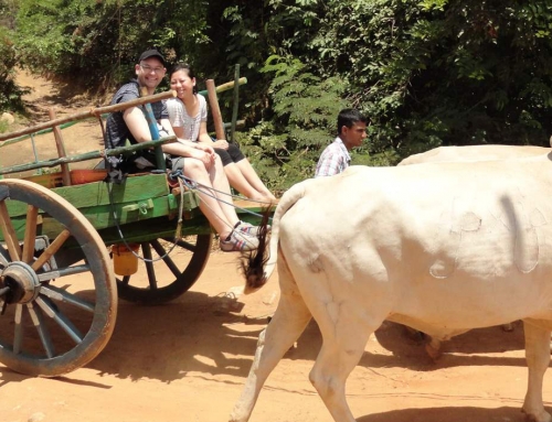 Bullock Cart Riding