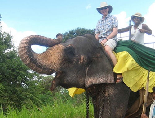 Elephant Riding